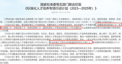 四大國家重點(diǎn)扶持專業(yè) 聚焦網(wǎng)站建設(shè)及維護(hù)服務(wù)